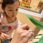 7 月七夕の集い|大阪の企業主導型保育園リコラ